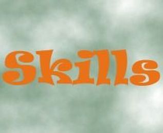 What are skill development management system programs at Gyrusaim