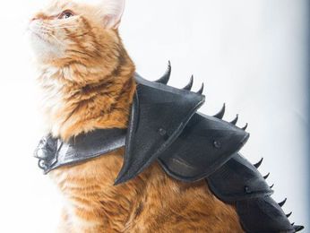 Turn your cat into a fantasy warrior with 3D-printed armor