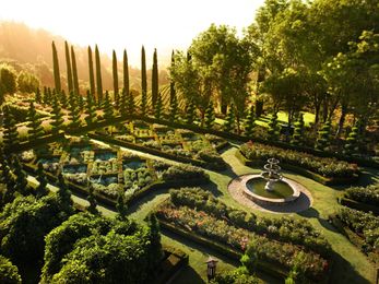 The Latest Trend In Fashion Turns Out to Be Wine