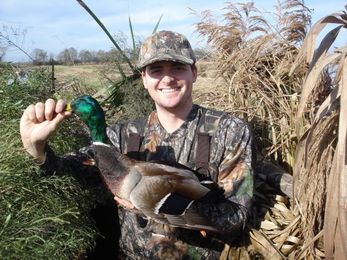 Taxidermist provides tips for quality duck mounts