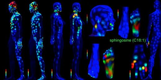 We're inching toward being able to print a whole human — here's proof