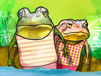 Are You a Frog or Toad?