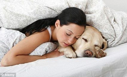 Late Night Pet Tips For Ensuring a Good Nights Rest!