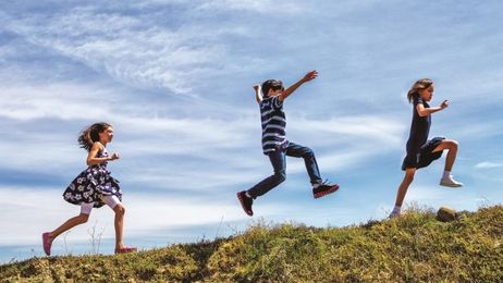 four Scottish experts share their thoughts