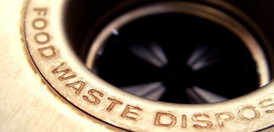 Tips for a Healthy Holiday Disposal