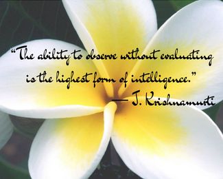 Why You Should Forget All About Learning Styles