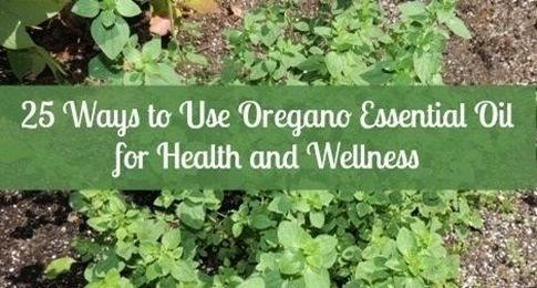 25 Ways to Use Oregano Essential Oil for Health and Wellness