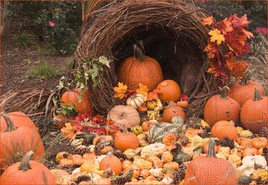 3 Simple Ways to Green Your Thanksgiving