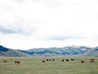 9 Reasons You Should Visit Umbria, Italy Right Now