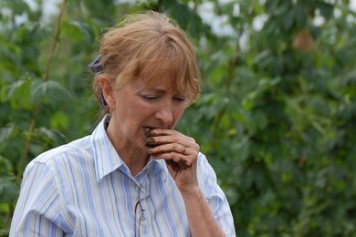 Dirt So Good You Can Taste It