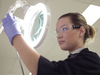 Cat - S•O•S Services