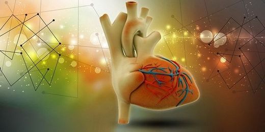 MindBody Connect: How Feelings Affect Life