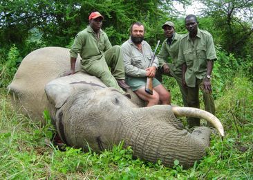 Is Trophy Hunting Helping Save African Elephants?