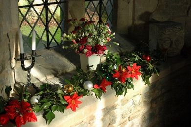 Advent Quiz: Why do churches use evergreens as Christmas decorations?