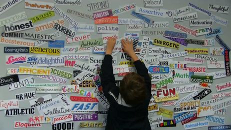 What Kind of Blue Hawk Are You?