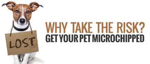 Why Take The Risk? Get Your Pet Microchipped