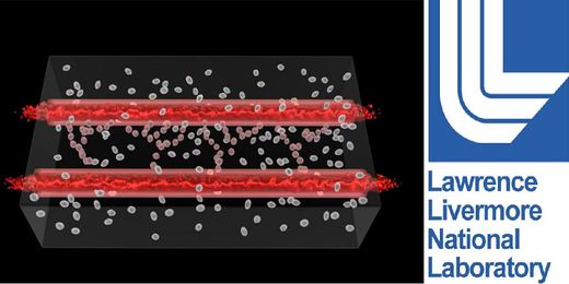 Lawrence Livermore National Laboratory Successfully BioPrinting Blood Vessels