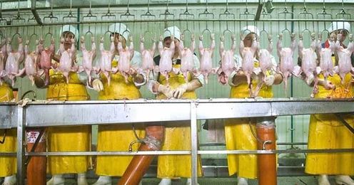 The Serious Dangers of Eating Cheap Meat