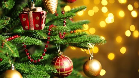 5 tips to keep your Christmas tree alive through the holidays