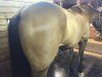 Tips and Tricks of the Trade: Clipping with Cecily Clark