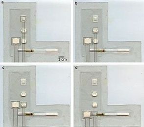 Integrated Device Combines Techniques to Detect Malaria