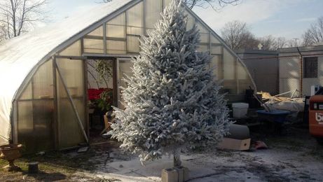 Would You Like Snow on Your Christmas Tree