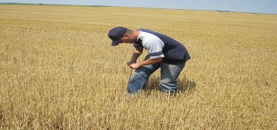 Know How to Use Your Soil Test Results