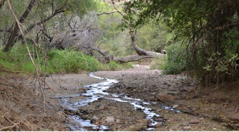 Behind the Don't Be A Drip Campaign