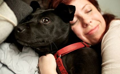 13 Dog Breeds That Are Overwhelmingly Affectionate