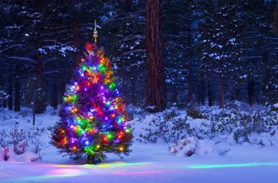 Green Christmas: 8 Tips for Hosting Sustainable Celebrations