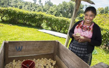 4 bold women who are changing their worlds, chicken by chicken, song by song