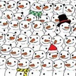 Find the Panda that’s Stumping the Internet
