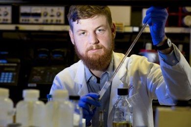 Research links inorganic mercury exposure to damaged cell processes