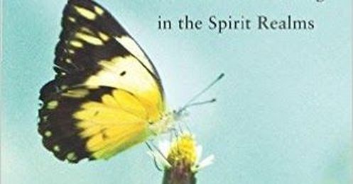 You Don't Have to Die to Go to Heaven by Susan Allison, PhD