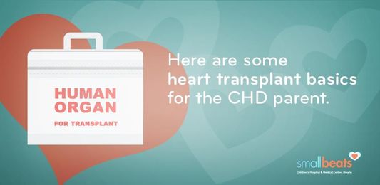 How Congenital Heart Defects Lead To Heart Transplants