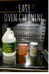 How to Clean Your Oven Without Chemicals, Non-Toxic (with pictures)