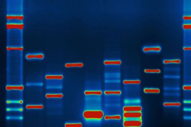 You Can Outrun Your Genes