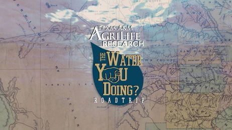 Work With Us: The Water U Doing Road Trip