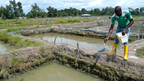 Can for-profit development companies work with big corporate brands?