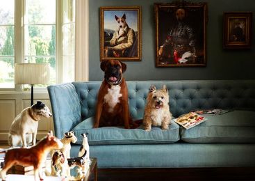 8 Tips to Help You Live in Harmony With Your Neighbors