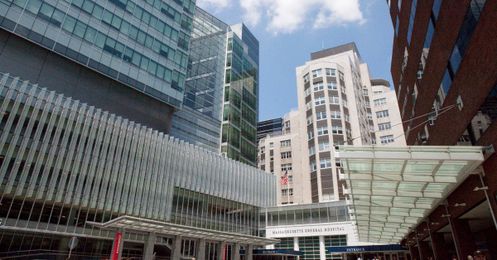 Mass General Is Studying Whether Poop Pills Could Help You Lose Weight