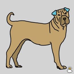 The incredible benefits of dog massage