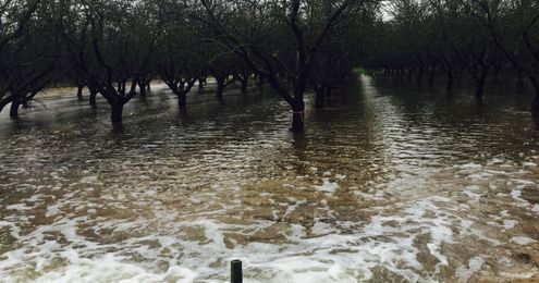 Researchers test idea to turn farms into ponding basins