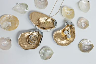 Uses for Oyster Shells
