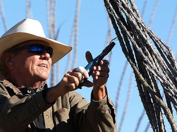 Meet Bruce Hart: ‘Cacti Wrangler Extraordinaire’