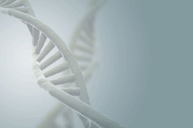 Do These Genes Make Me Look Fat?