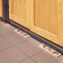The Best Ways to Trap Mice