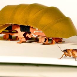 The Army Has Made a Robot Cockroach