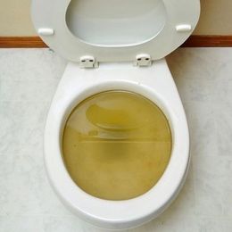 The Complete Illustrated Guide to Unclogging a Drain