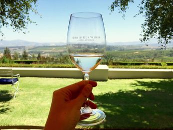 A visit to the beautiful Ernie Els Wines in Stellenbosch